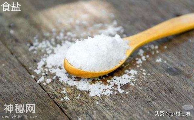 谁是古代第一个煮盐人？浅谈盐在古代的出现和发展-1.jpg