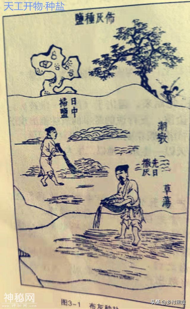 谁是古代第一个煮盐人？浅谈盐在古代的出现和发展-7.jpg