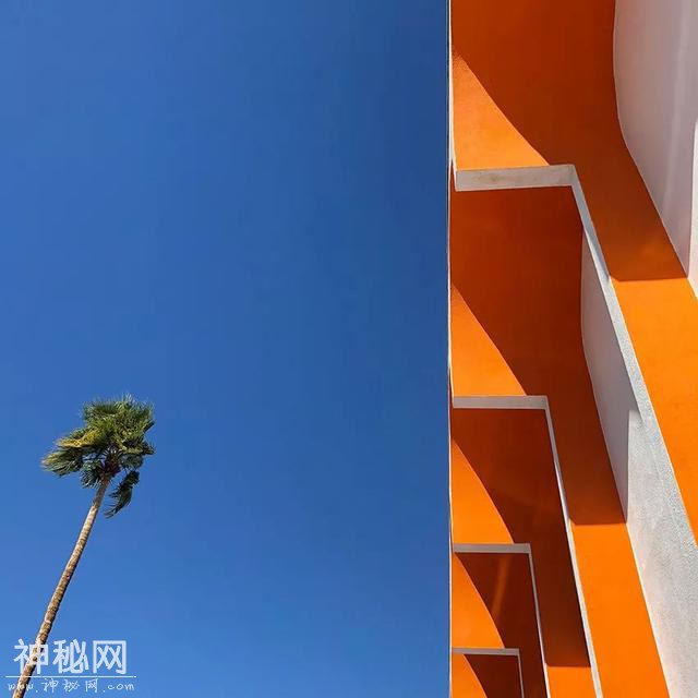 星球 · 文化 | 2019年iPhone摄影大赛获奖作品揭晓-14.jpg