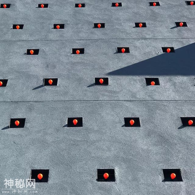 星球 · 文化 | 2019年iPhone摄影大赛获奖作品揭晓-8.jpg
