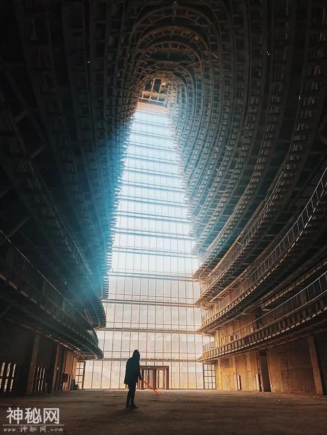 星球 · 文化 | 2019年iPhone摄影大赛获奖作品揭晓-15.jpg