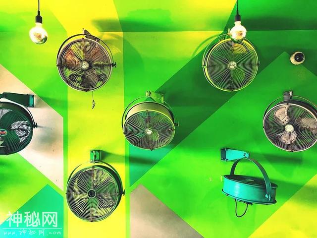 星球 · 文化 | 2019年iPhone摄影大赛获奖作品揭晓-50.jpg