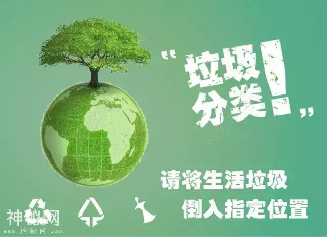看着这些动物，你肯定会心疼……-23.jpg