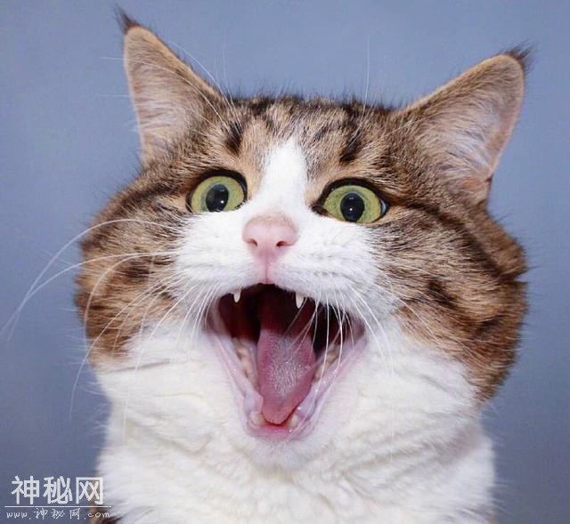 2019幽默笑话段子，精辟又有趣，句句戳中笑点-4.jpg