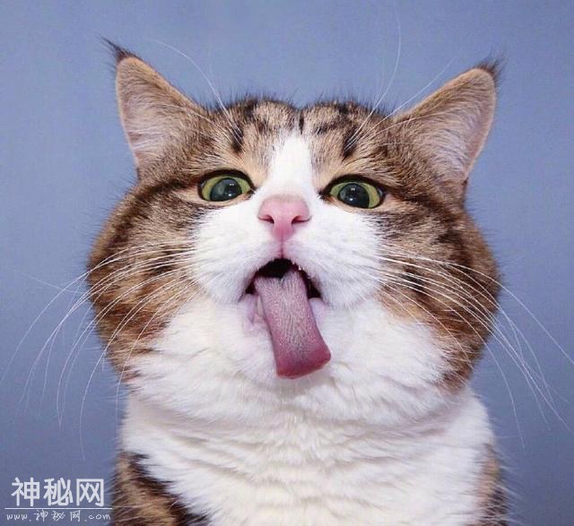 2019幽默笑话段子，精辟又有趣，句句戳中笑点-6.jpg
