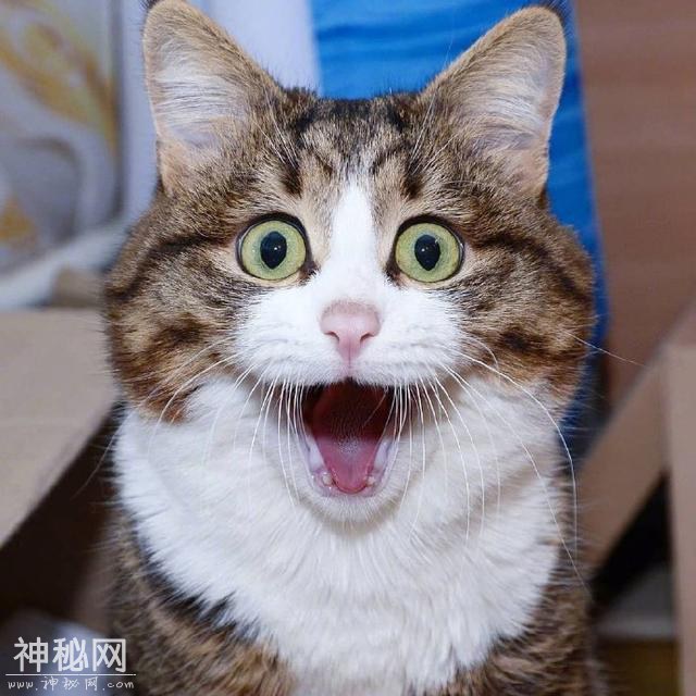 2019幽默笑话段子，精辟又有趣，句句戳中笑点-2.jpg