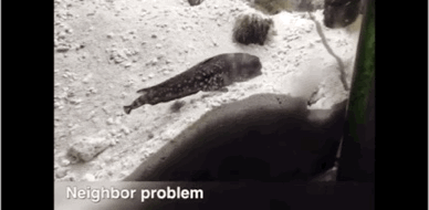 海洋生物戏真多-5.jpg