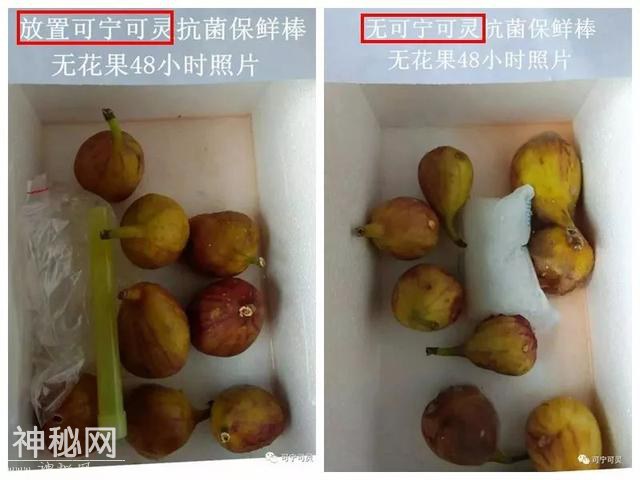 德国人发明了一根小棒，让冰箱里细菌无处可藏-26.jpg