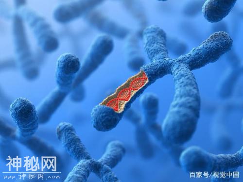 探寻五千年历史变迁，浪潮AI加速中国考古DNA研究-1.jpg