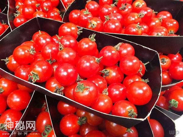 女性想要身体好，3种食物要多吃，提高女性免疫力，帮助女性补血-1.jpg