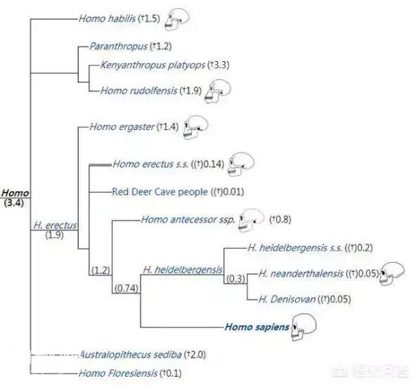 ?人类是不是和所有生物之间都有生殖隔离？-3.jpg