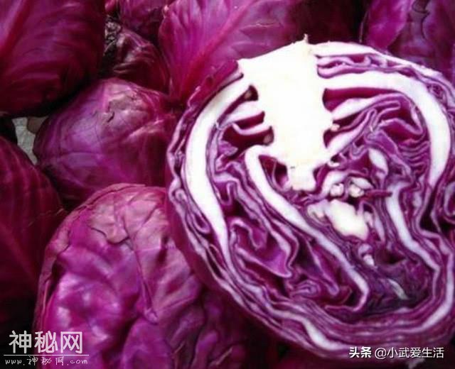 这种紫色包菜不一般，营养丰富吃法多样，养生保健人士都喜欢吃它-5.jpg