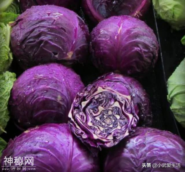 这种紫色包菜不一般，营养丰富吃法多样，养生保健人士都喜欢吃它-2.jpg