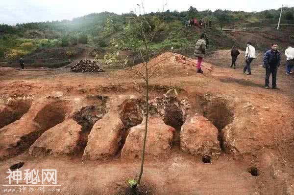 秦皇小女嬴阴嫚墓出土，考古现场令人揪心，专家：胡亥真狠-3.jpg