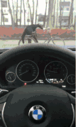 搞笑GIF图：哥们，我拿宝马换你的自行车，行不？-3.jpg