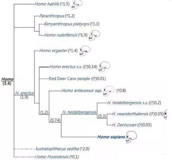 人类是不是和所有生物之间都有生殖隔离？-4.jpg