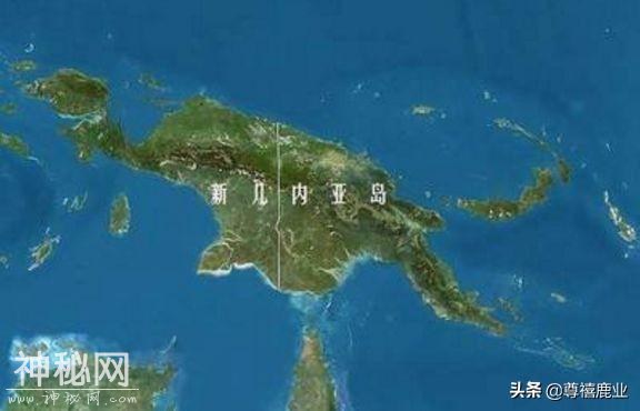 美国出现“僵尸鹿”，丧尸病毒是否会感染人类？-6.jpg