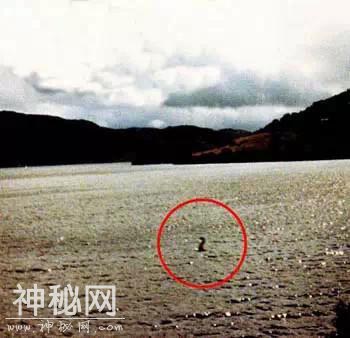 尚普湖怪：美版尼斯湖水怪事件，流传百年是否是真的？-2.jpg