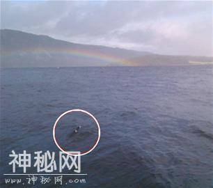 尚普湖怪：美版尼斯湖水怪事件，流传百年是否是真的？-3.jpg