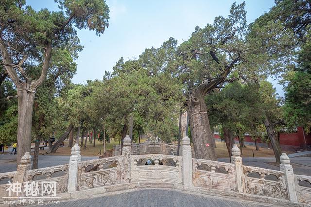 世界建筑史上的“孤例”，仿故宫修建，已有2497年历史-2.jpg