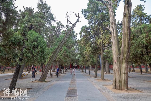 世界建筑史上的“孤例”，仿故宫修建，已有2497年历史-5.jpg
