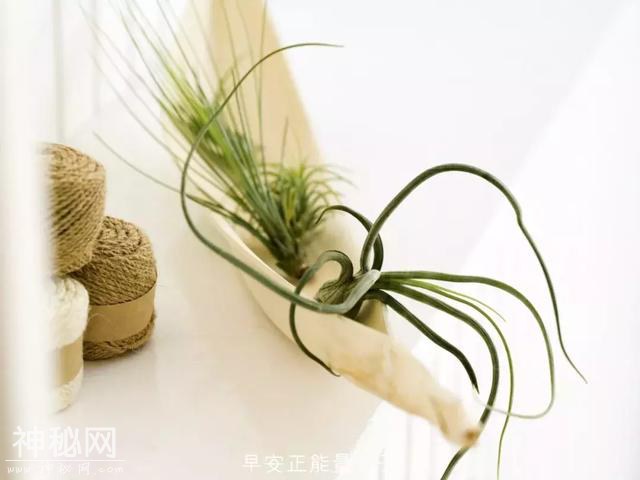 早安心灵鸡汤励志短句-3.jpg