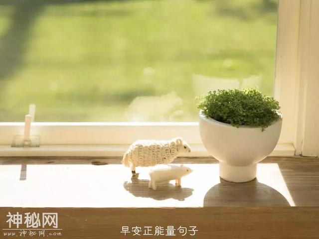 早安心灵鸡汤励志短句-7.jpg
