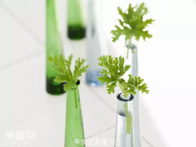 早安心灵鸡汤励志短句-8.jpg