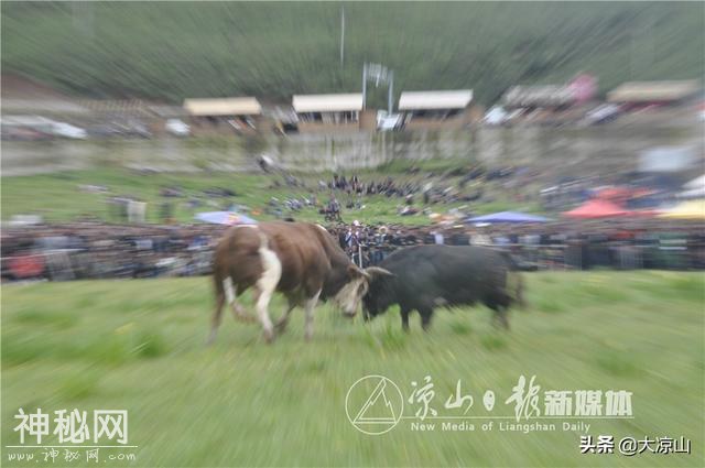 30张图，带你看尽2019昭觉谷克德彝族传统火把节民俗活动-12.jpg