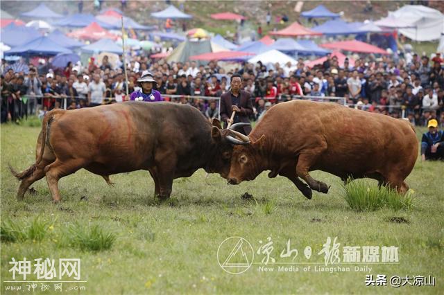 30张图，带你看尽2019昭觉谷克德彝族传统火把节民俗活动-11.jpg