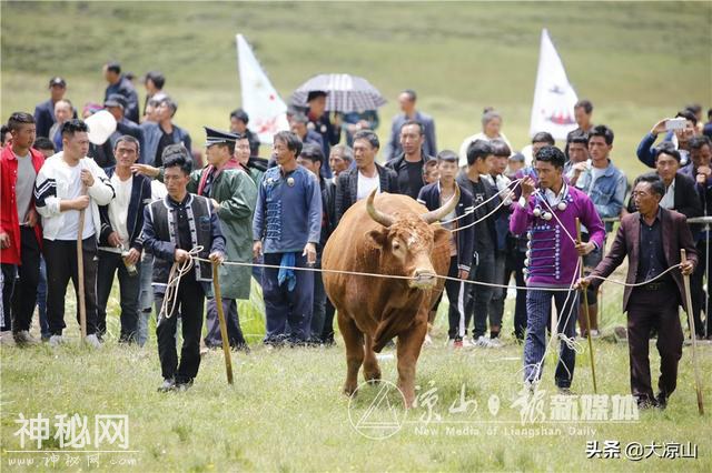 30张图，带你看尽2019昭觉谷克德彝族传统火把节民俗活动-10.jpg