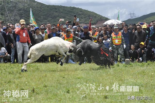 30张图，带你看尽2019昭觉谷克德彝族传统火把节民俗活动-14.jpg