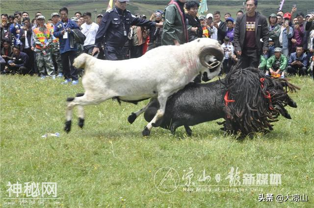 30张图，带你看尽2019昭觉谷克德彝族传统火把节民俗活动-13.jpg