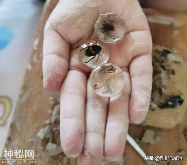 耐撕测评 | 忍不住剁手！暑期考古盒子大发现-6.jpg