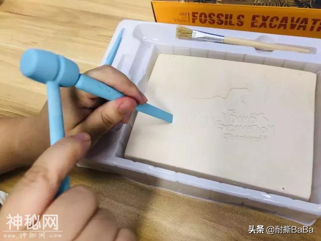 耐撕测评 | 忍不住剁手！暑期考古盒子大发现-10.jpg