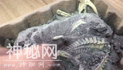 耐撕测评 | 忍不住剁手！暑期考古盒子大发现-17.jpg