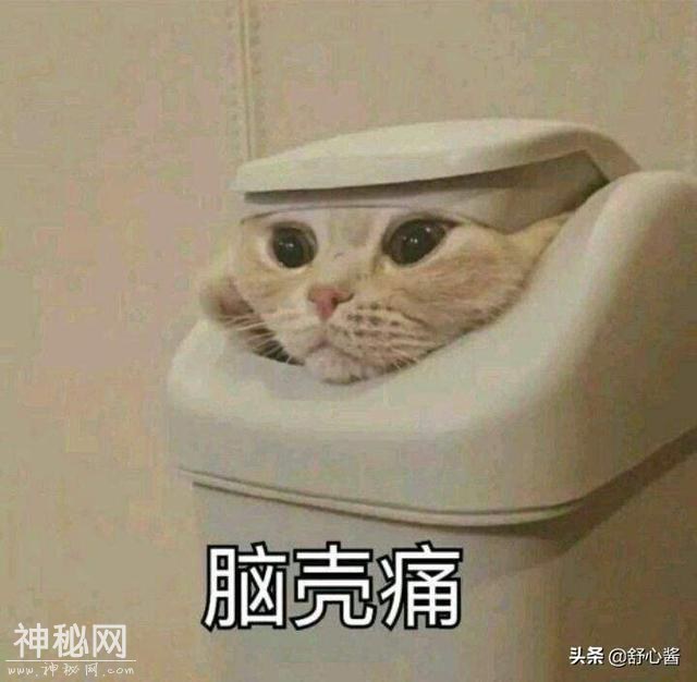 三流爱情片还是不入流的科幻片？《上海堡垒》回收分类了解一下-4.jpg
