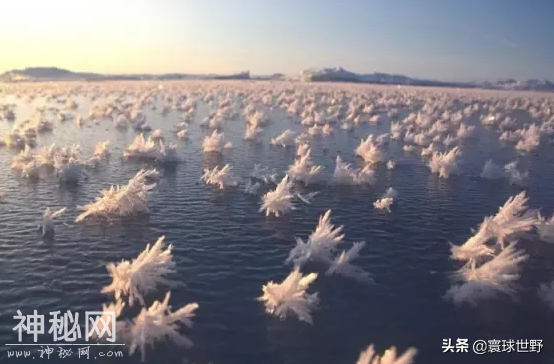 地球上发生的非常罕见自然现象，最后两张图到现在依旧是个谜-6.jpg