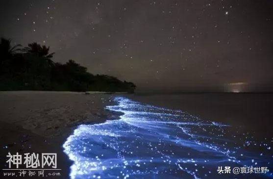 地球上发生的非常罕见自然现象，最后两张图到现在依旧是个谜-13.jpg