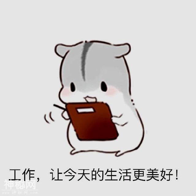 每日笑话，每日一笑-6.jpg