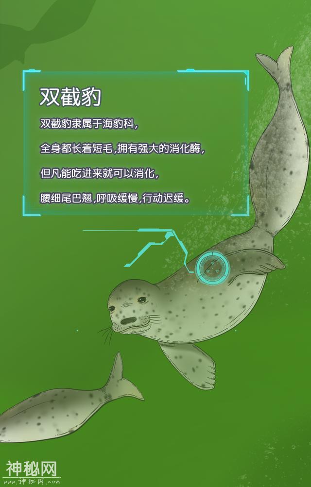 塑料垃圾污染越来越严重，海洋生物都进化成这样-13.jpg