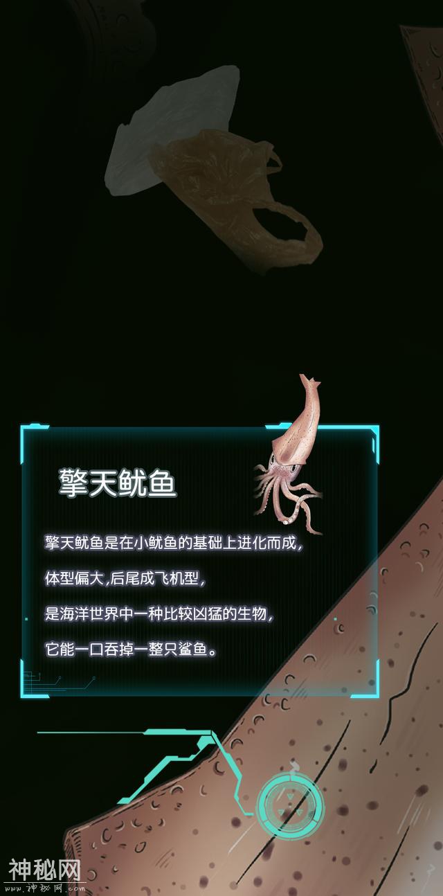 塑料垃圾污染越来越严重，海洋生物都进化成这样-20.jpg