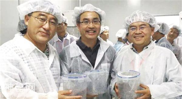 独辟蹊径，效果明显——我国科学家发现强力灭蚊新工具-2.jpg