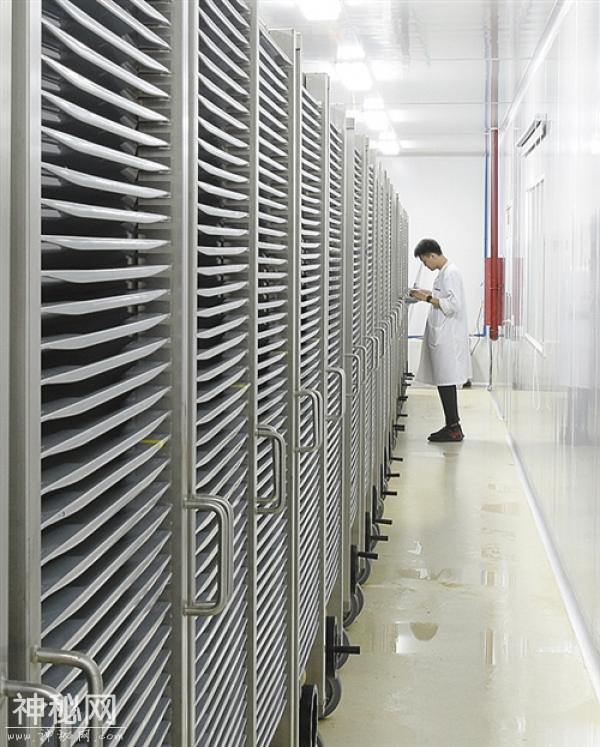 独辟蹊径，效果明显——我国科学家发现强力灭蚊新工具-1.jpg
