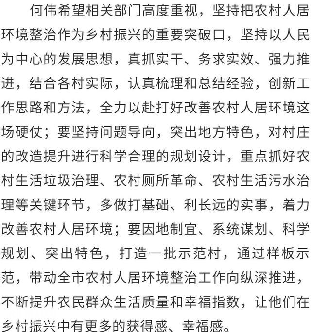 何伟调研农村人居环境整治、地质灾害治理和防汛工作-2.jpg