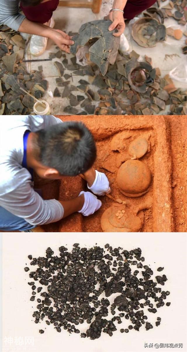 想象太美现实骨感 真实考古现场揭秘-4.jpg