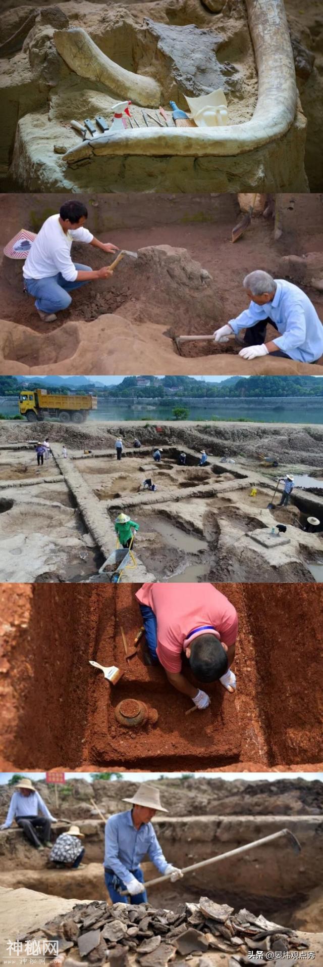 想象太美现实骨感 真实考古现场揭秘-8.jpg