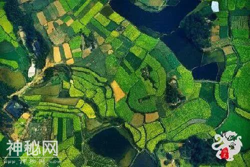秦国一笔低调投资，历时百年不惜血本，换来一统天下-7.jpg