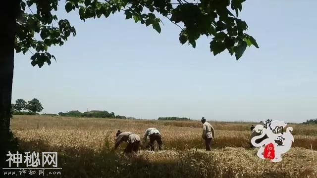 秦国一笔低调投资，历时百年不惜血本，换来一统天下-5.jpg
