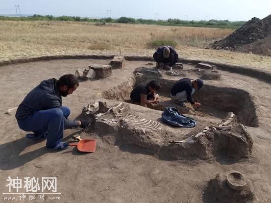 保持了4000年的爱情，考古学家挖到面对面情侣墓，二人相拥而眠-3.jpg